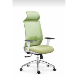 DELUXE EXECUTIVE  OFFICE MESH CHAIR WITH HEAD REST |DEL 235|BLACK|GREEN|WHITE