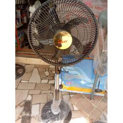 ALWAYS LUCKY 16 Inches RECHARGEABLE STANDING FAN LU-1602 - deluxe.com.ng