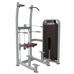 TECHNO FITNESS DFT1609 Commercial Weight Assisted Chin+ Dip - deluxe.com.ng