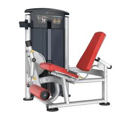 IMPULSE FITNESS IT9505 LEG EXTENSION - deluxe.com.ng