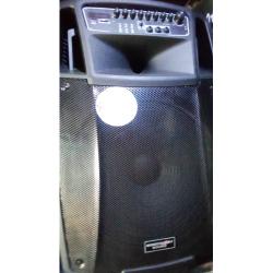 MODERN DAY 12Inches TROLLEY SOUND TWS SPEAKER MLG1222 8000W - deluxe.com.ng