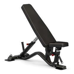 SOLE FITNESS  MULTI-ANGLE AB UTILITY BENCH (Sfi-100) - Deluxe.com.ng