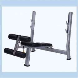 WT-A51 DECLINE WEIGHT BENCH (PREMIUM) - deluxe.com.ng