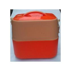 Ultimate Ash Insulated Picnic School Lunch Box