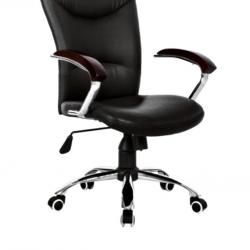 Zodiac Office Chair Z210B